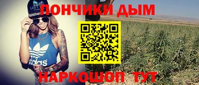 a pvp Бийск
