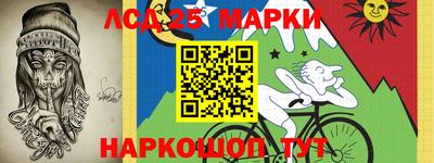 a pvp Бийск