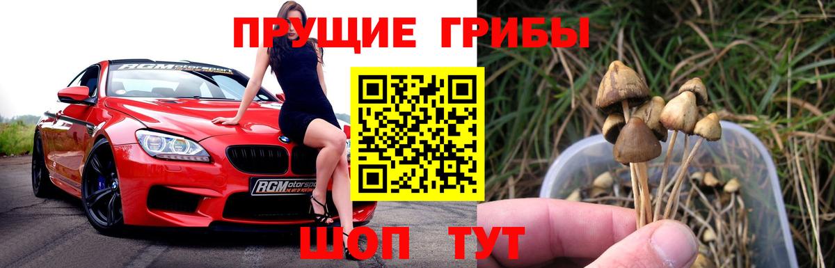 Галлюциногенные грибы ЛСД Кольчугино