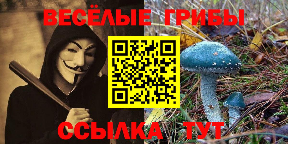 Галлюциногенные грибы Psilocybe  Вход с VPN  Кольчугино 